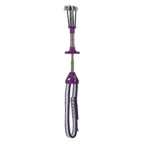 Metolius Ultralight Master Cam Purple